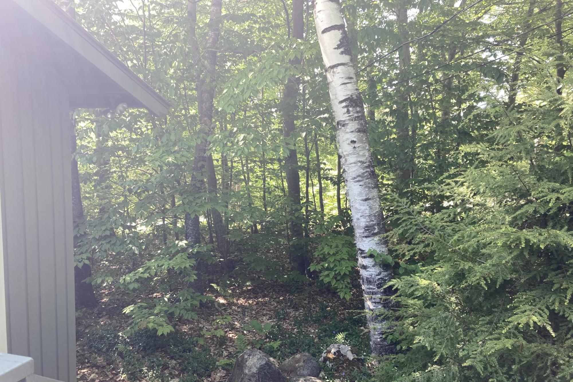 Snowflake Cabin Barnumville Exterior foto